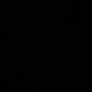 Meet your Posher, Colleen